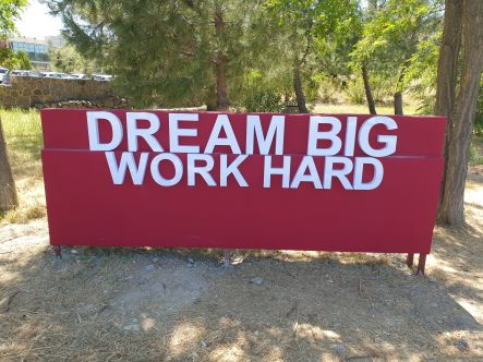 Dream Big Work Hard